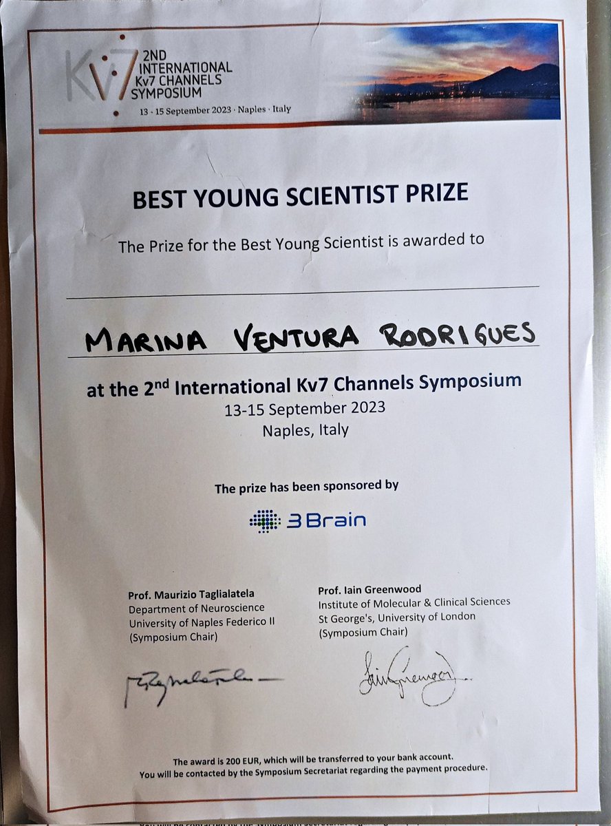 Marina M V Rodrigues tweet media