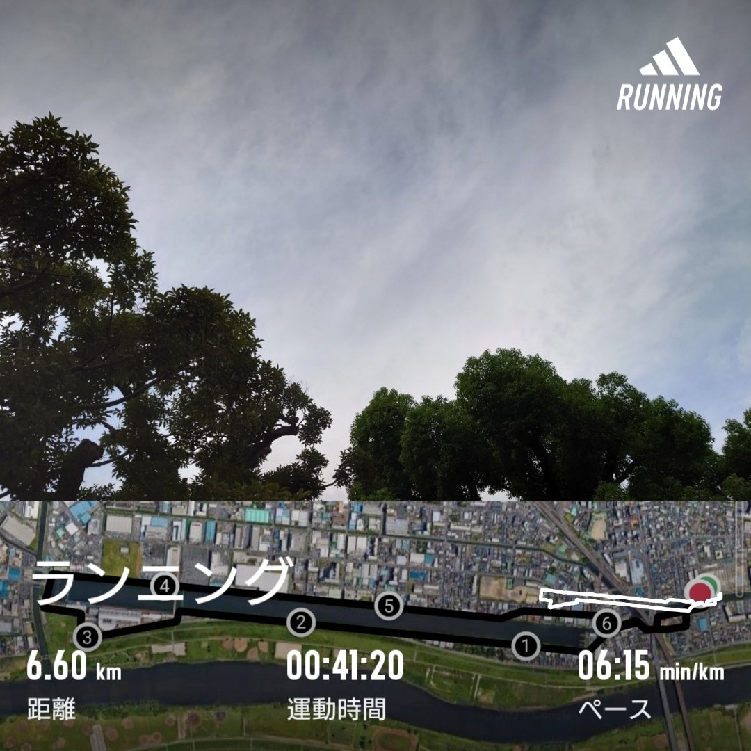 homma_t's tweet photo. 今日は朝から用事があるので、早めに短くラン🏃‍♂
やっとボートコース一周走れる季節になりました。
#run #running #sundayrun #septemberrun #morningrun #戸田オリンピックボートコース https://t.co/XRn2xjXinb