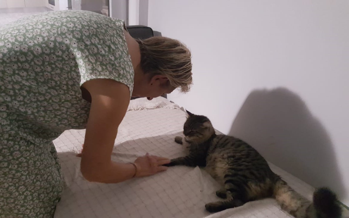 Uzunca bir aradan sonra hasret bitti. Ortak, babaanne        ve babayla kavuştu... Macera yeniden...