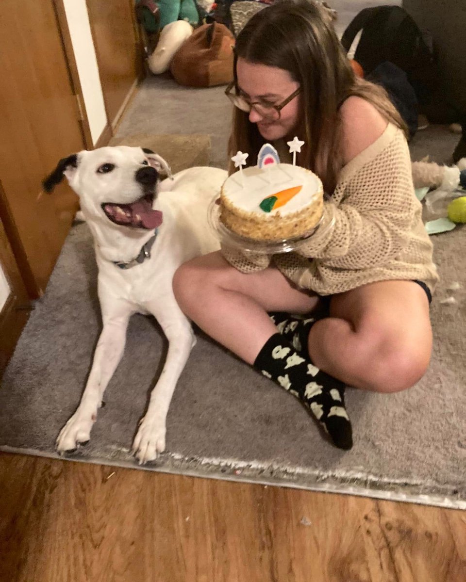 ashevillehumane's tweet photo. Santiago was found as a stray in 2020 and was finally adopted after waiting NINE months! His new mom drove all the way from Rhode Island to adopt him. Recently, his mom threw him a birthday party complete with cake, presents, balloons, and even a pup cup from @Starbucks! 🎂🎈🎁 https://t.co/K7yyrZKCJq