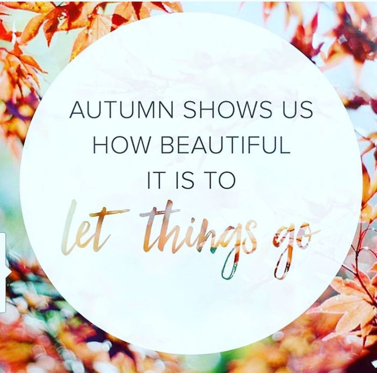 Happy Fall Y'all! 🍁🍂💛🧡🤎

#Autumn #AutumnEquinox