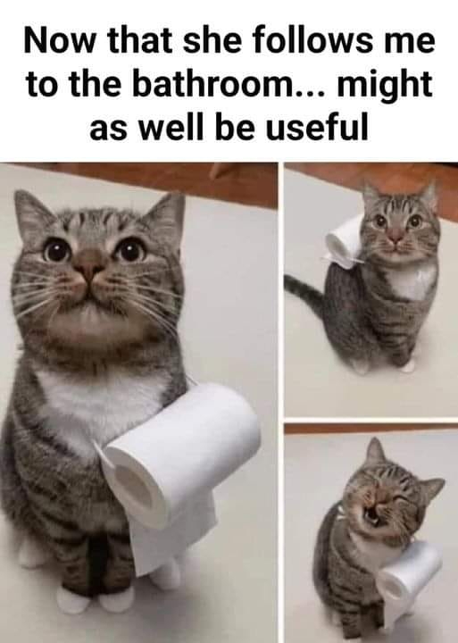 WholesomeMemes tweet media