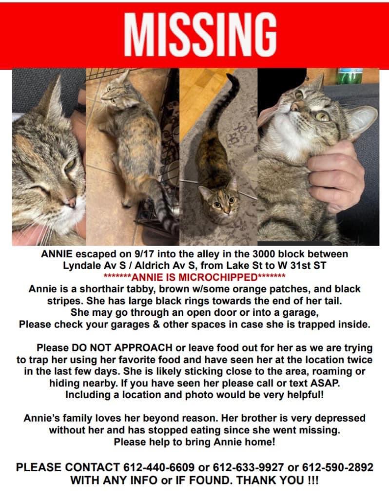 Neighborhood missing cat news. Back by my old spot in lynlake aka Deep South wedge.