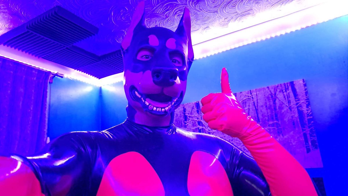 🐶𝙇𝙊𝙍𝘿 𝘿𝙊𝘽𝙀𝙍𝙈𝘼𝙉🎸 (Shoegaze Dog!) tweet media