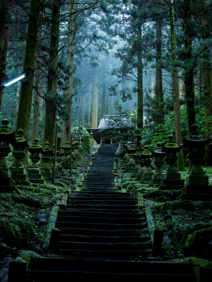 Archillect (@archillect) on Twitter photo 