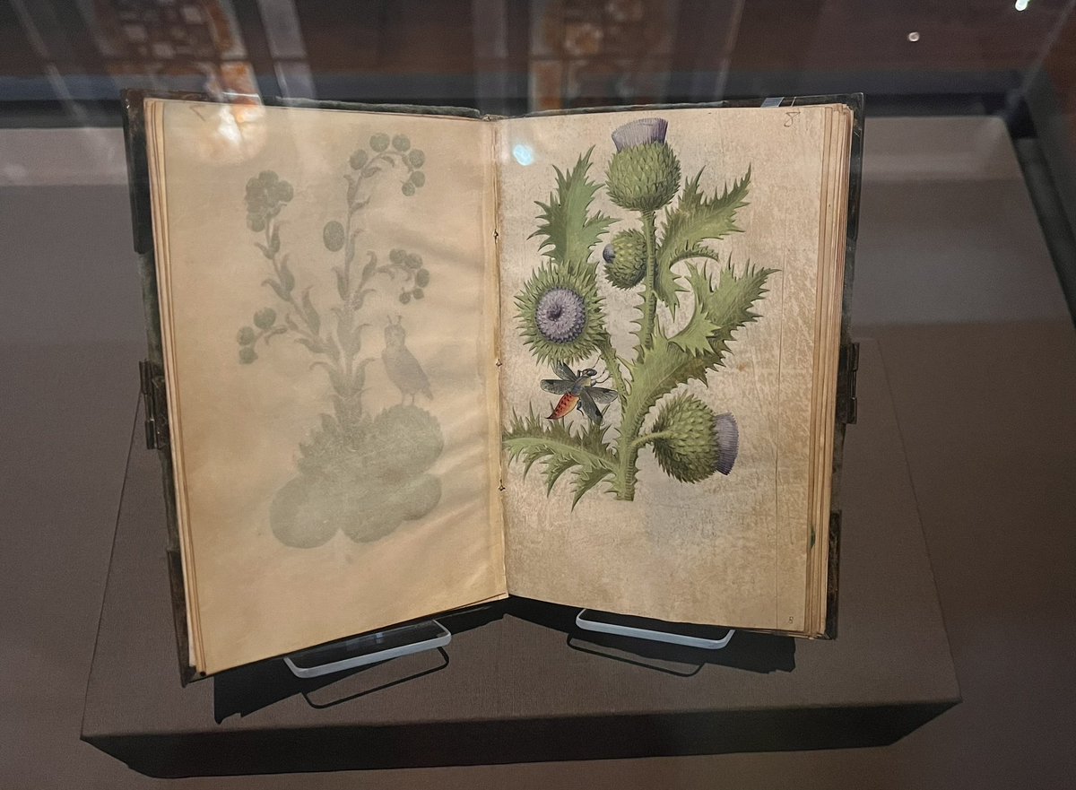 #Insects and other arthropods in large &amp; small paintings at the #MetCloisters