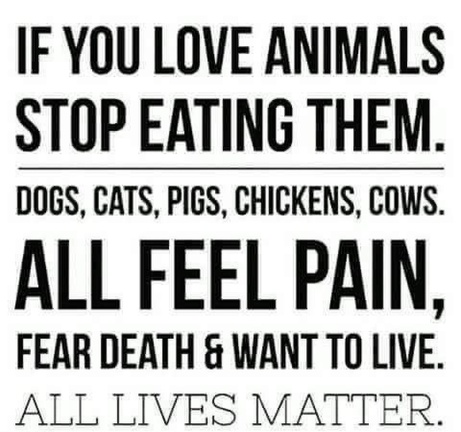 veganfuture's tweet photo. https://t.co/6FthG5PRqu