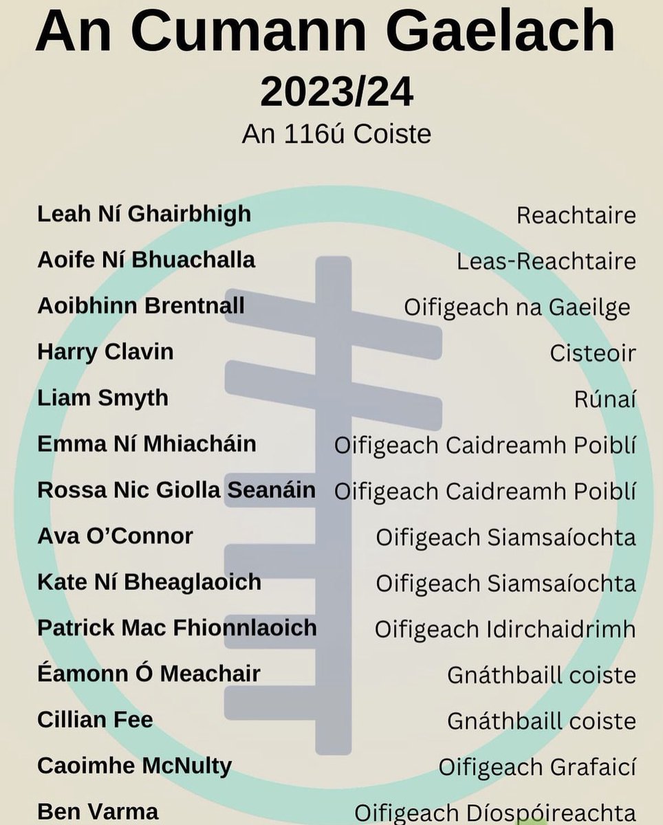 Bláth Plumeria bán agus buí 4K Íoslódáil páipéar balla, image size:964x1200