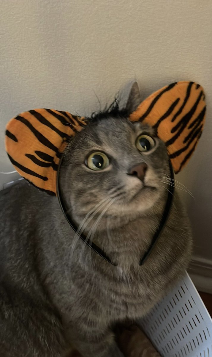 JulilyTV tweet picture