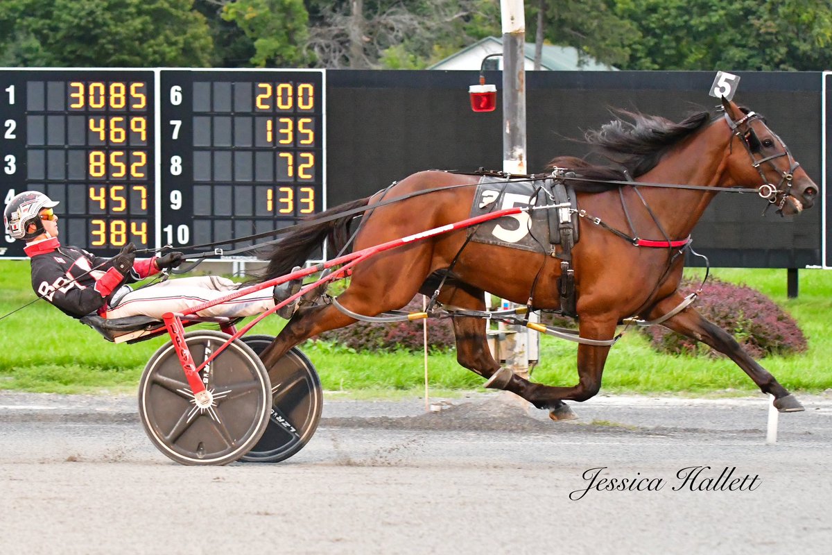 To The Hunt ($24.60) - 1:52.4. 
“He’s a new one that my dad and I just bought. He drives perfect. I knew he was fast, but I didn’t know he was that fast. The track isn’t as fast today with the wind and cold, but he went a huge mile. I wasn’t asking him for much.” - Brett Beckwith