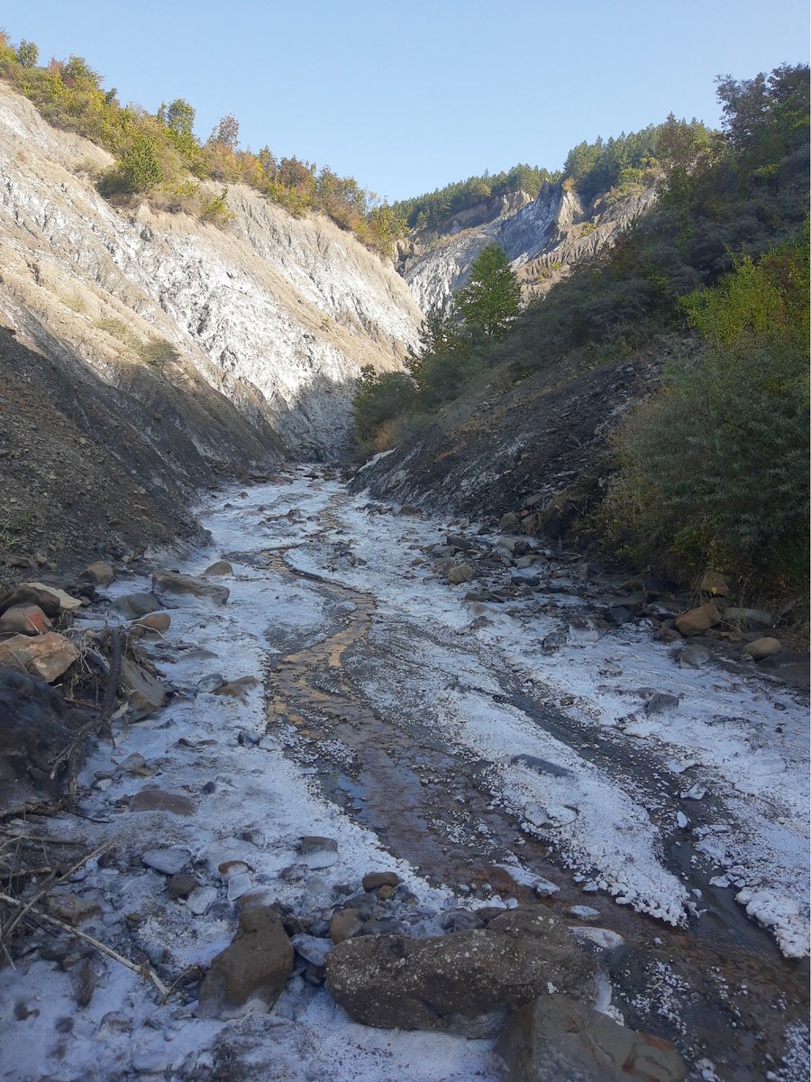 Structural Geology tweet media