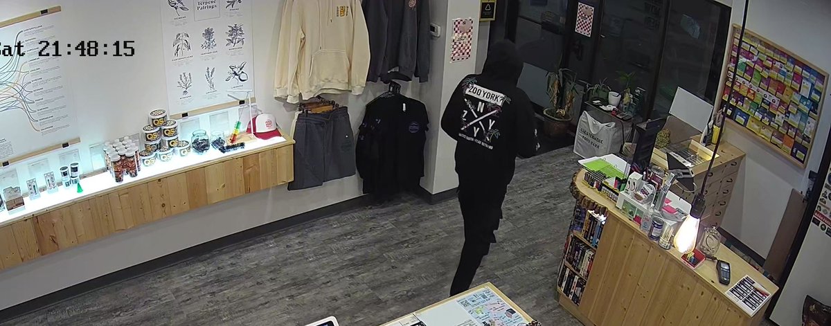 Ryan (The Pope of Dope) Roch 🫐 tweet media