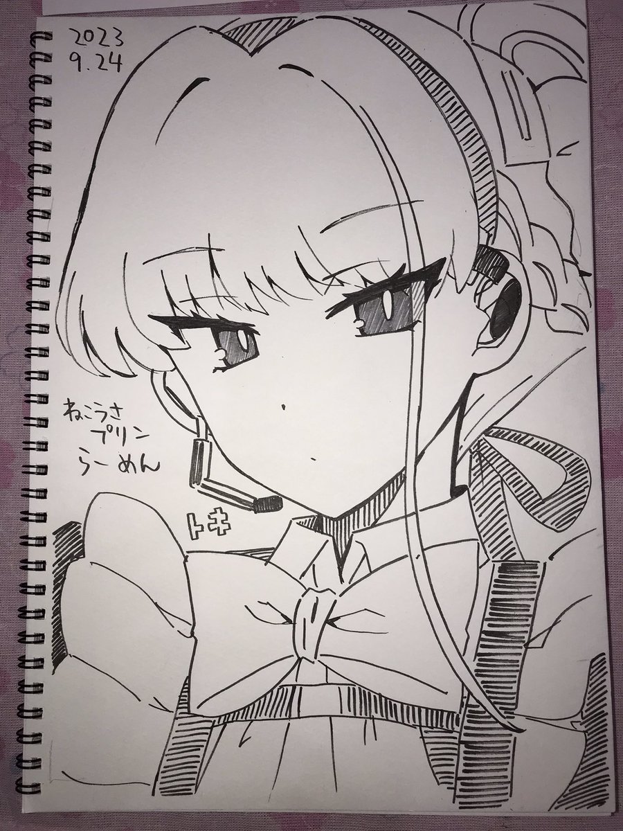 これはなんか色んなパーツがよくわかって無いトキ 