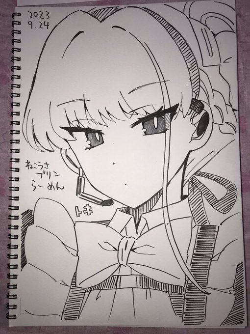 これはなんか色んなパーツがよくわかって無いトキ 