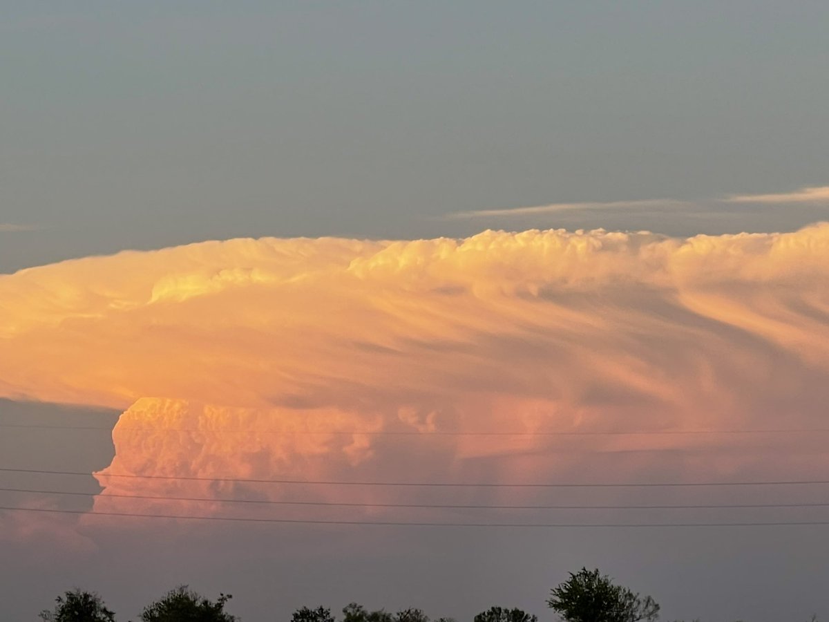 Tim McLaughlin tweet media