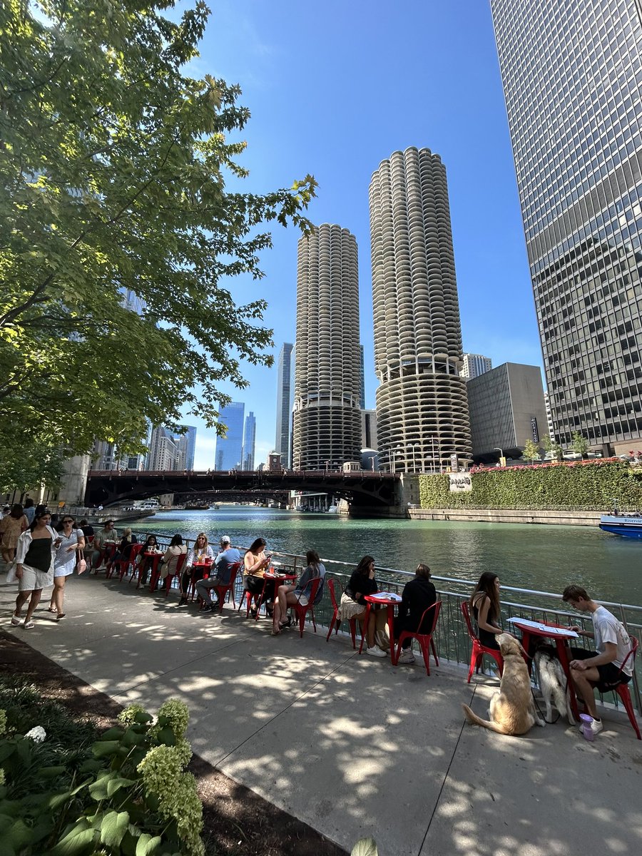 Viola Asri tweet media