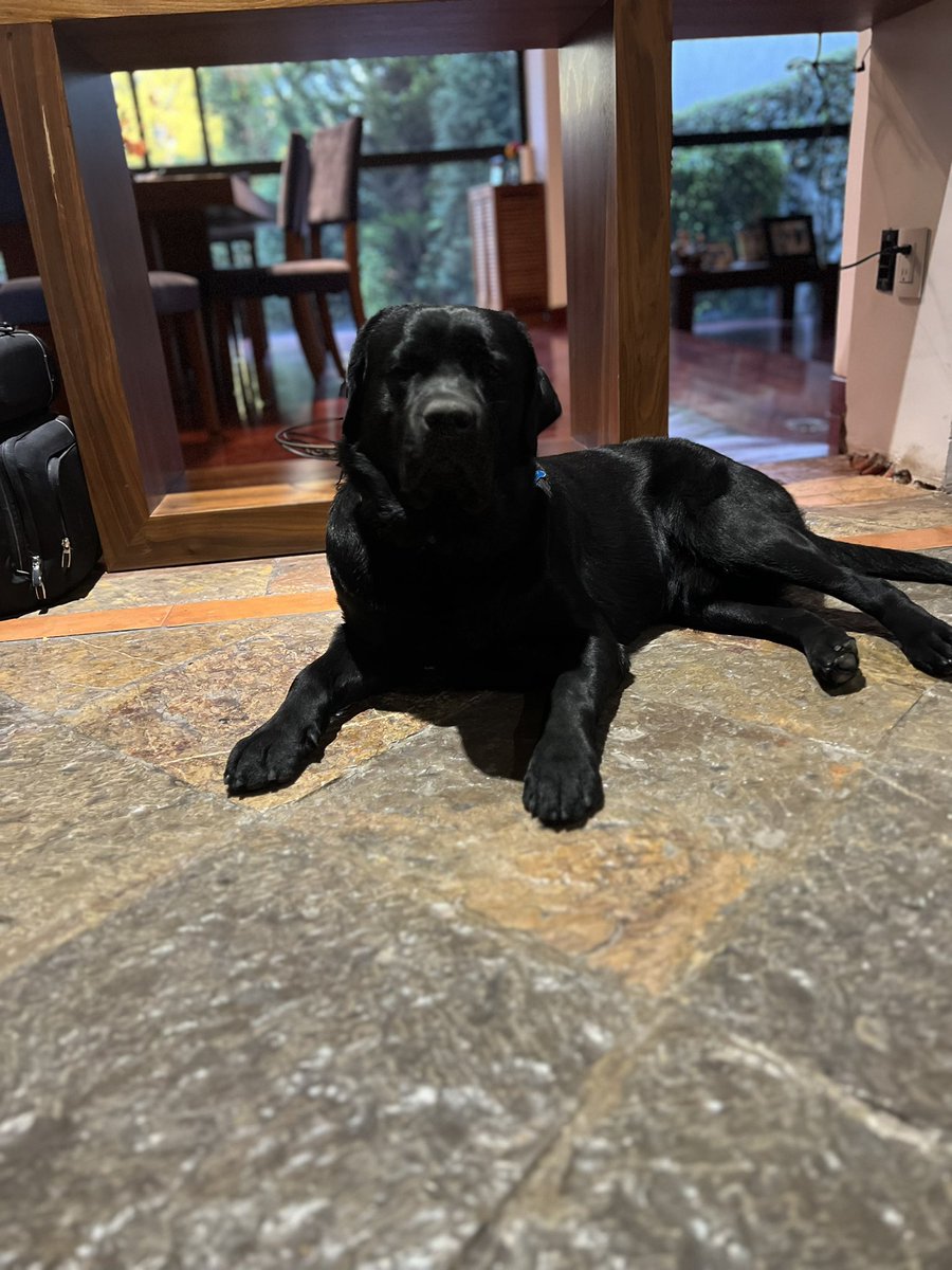 Lalo Villegas tweet media