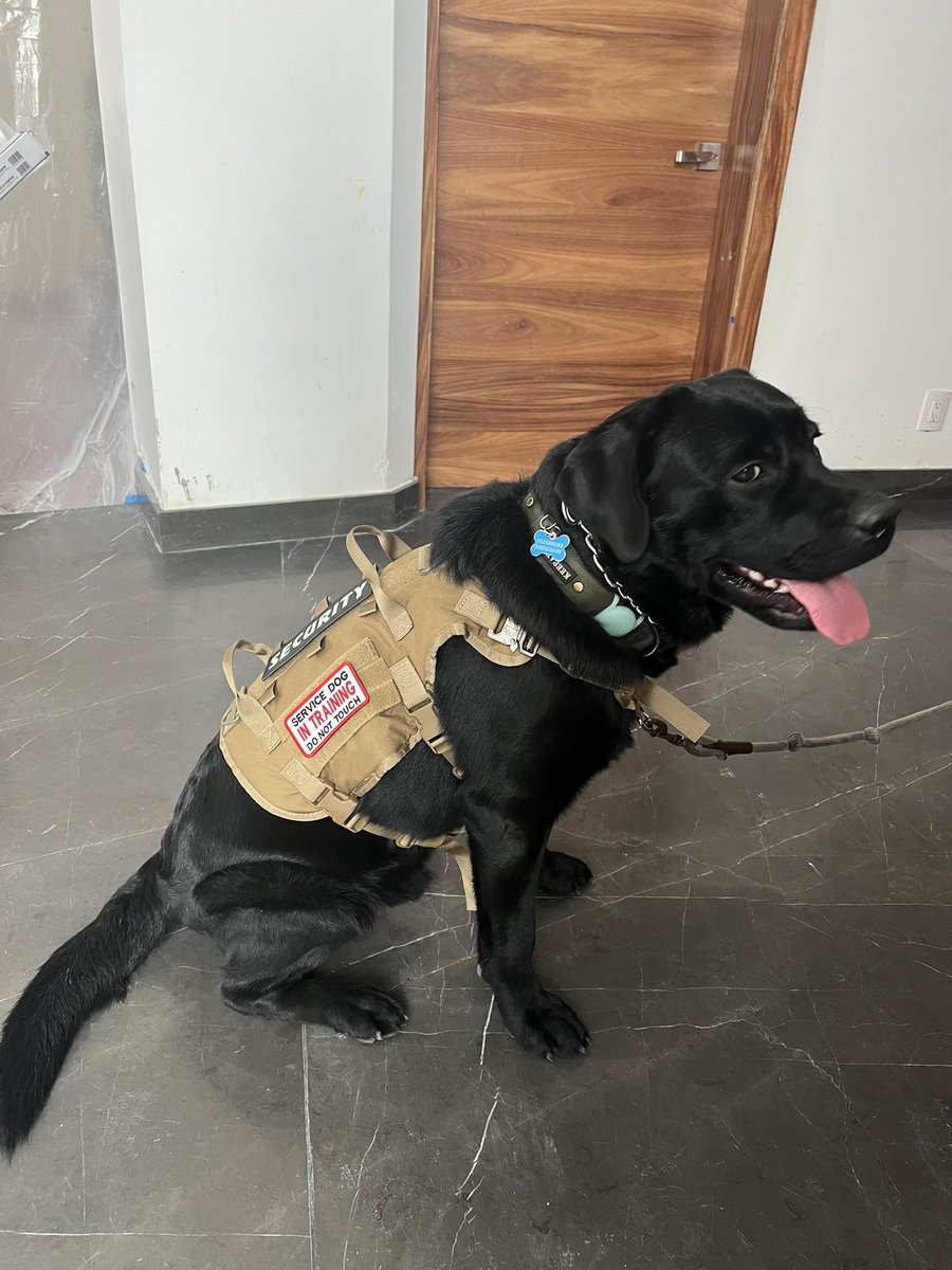 Lalo Villegas tweet media