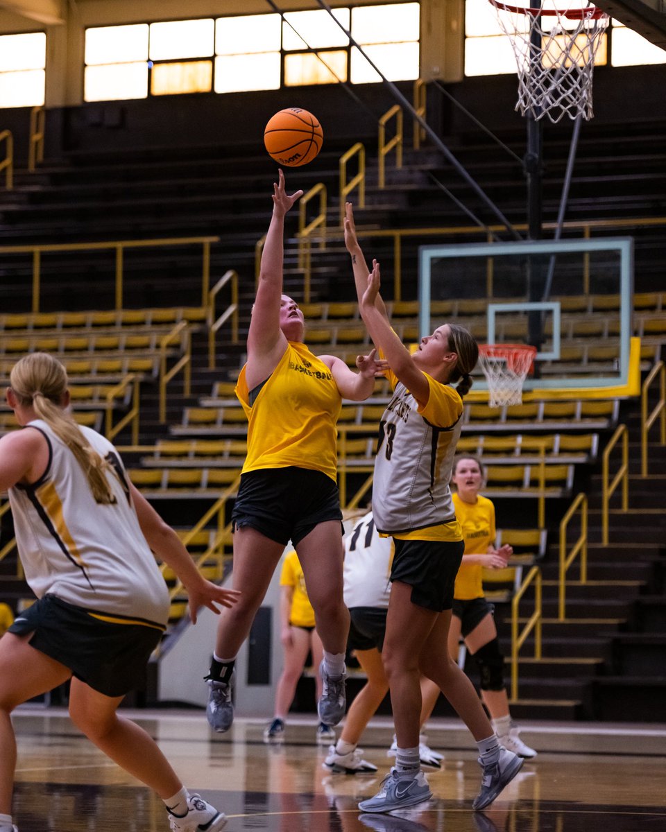 BW Women's Basketball tweet media