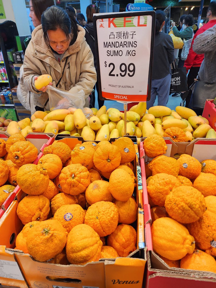 roentarre's tweet image. Giant mutant #mandarin in #springvale #Melbourne
