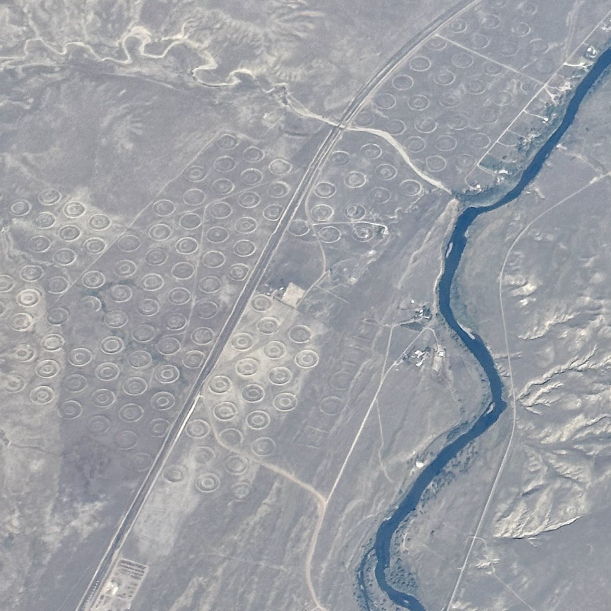 Maggie Romuld tweet media