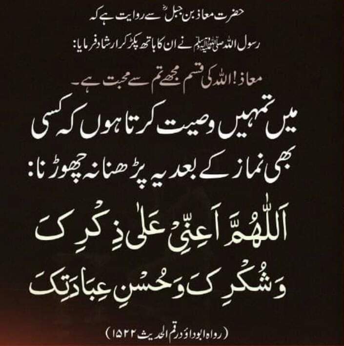 Gul (@fazalkarim15232) on Twitter photo 