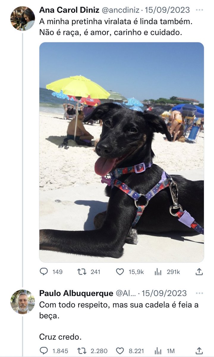 Acho que essa sequência foi uma das que eu mais ri no Twitter

Só tem maluco nessa rede social