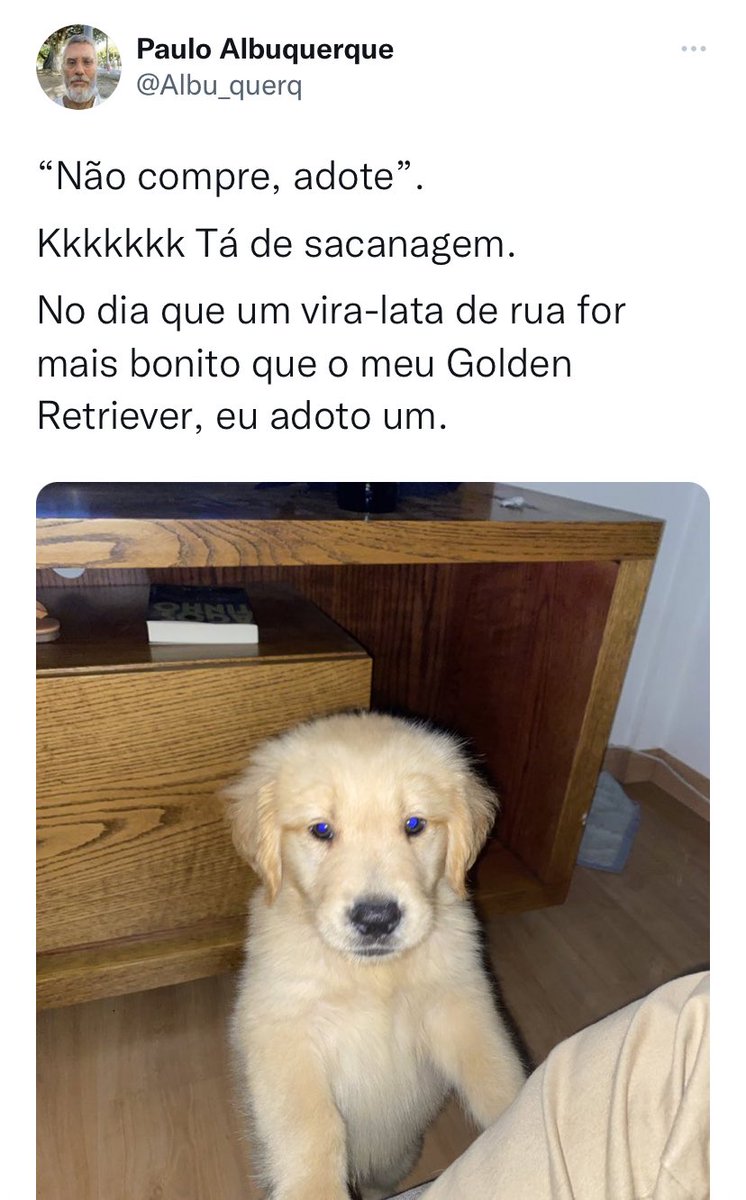 muitohumildee's tweet photo. Acho que essa sequência foi uma das que eu mais ri no Twitter

Só tem maluco nessa rede social https://t.co/DkYxhYmy6x