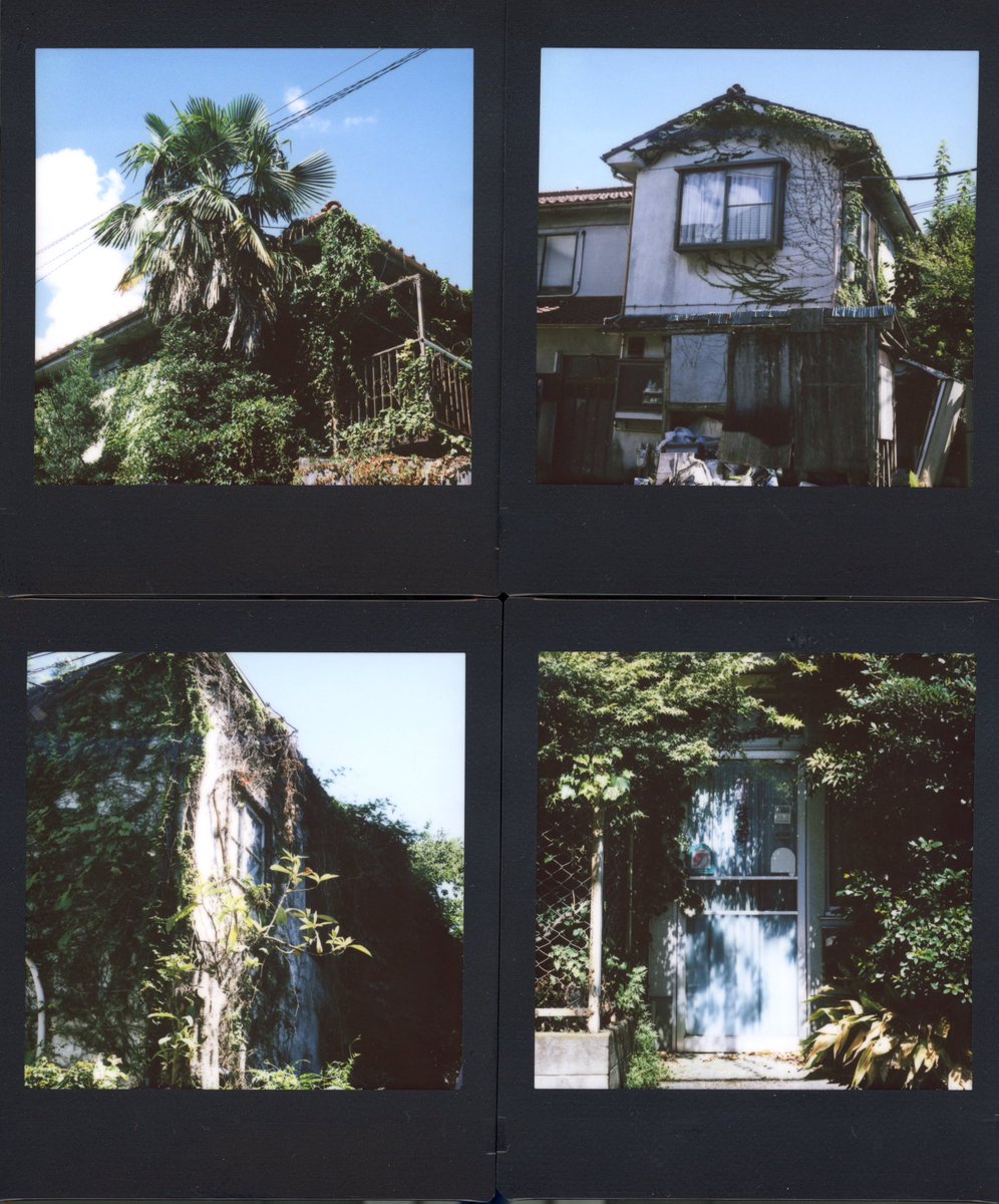 uv761's tweet photo. Thy structure withers, thy green weathers..
#rz67 #instax  #zinstax https://t.co/suV9SRxp6l
