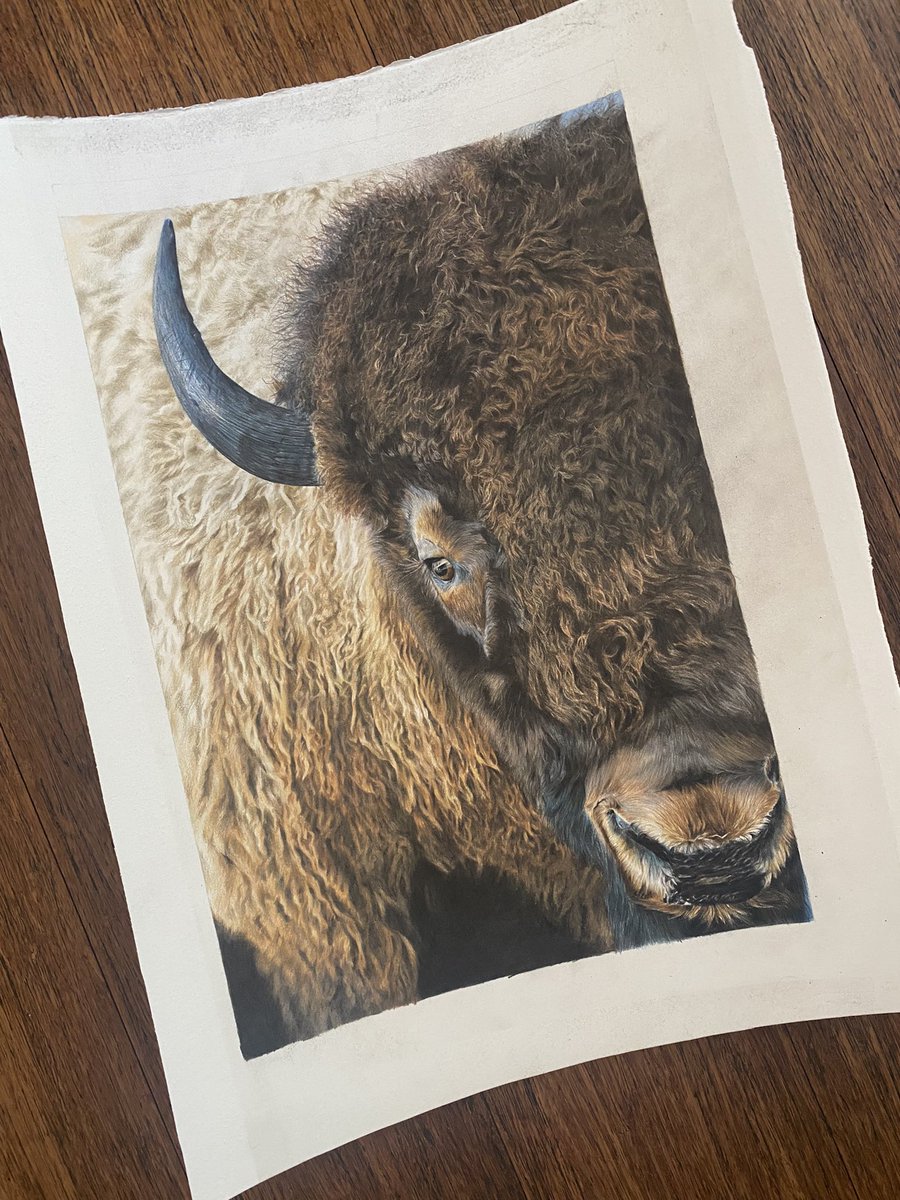 Thank you all so much for your orders of this one! Grab yours here jessica-lennox-art.myshopify.com/products/wild-…