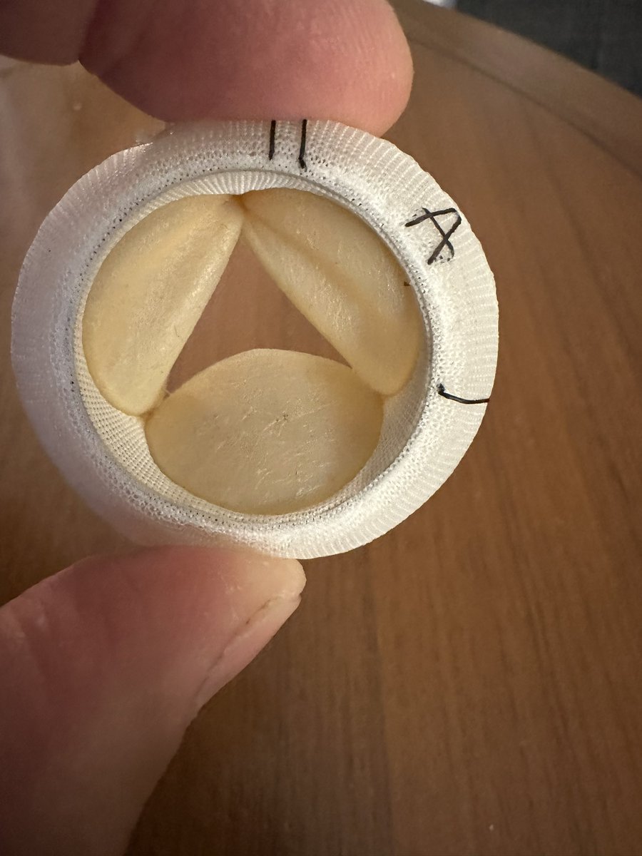 bobby yanagawa tweet media