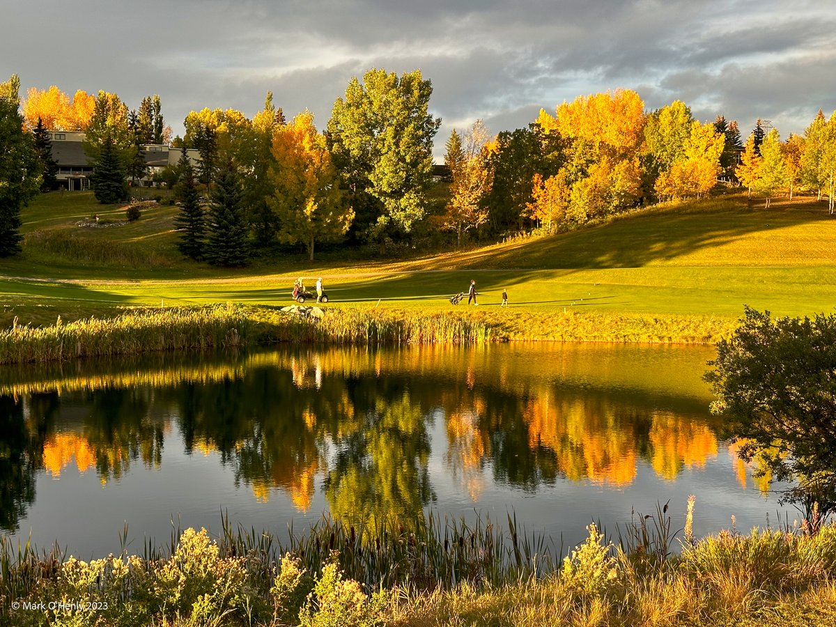 Mark O’Henly tweet media