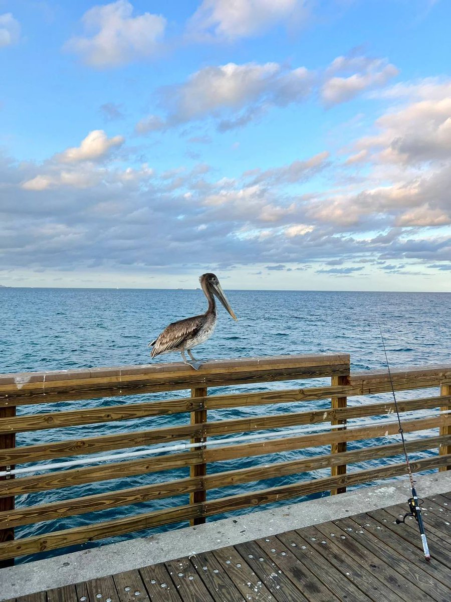 esbcconsulting's tweet image. 来日方长总要在不慌不忙中学会坚强。