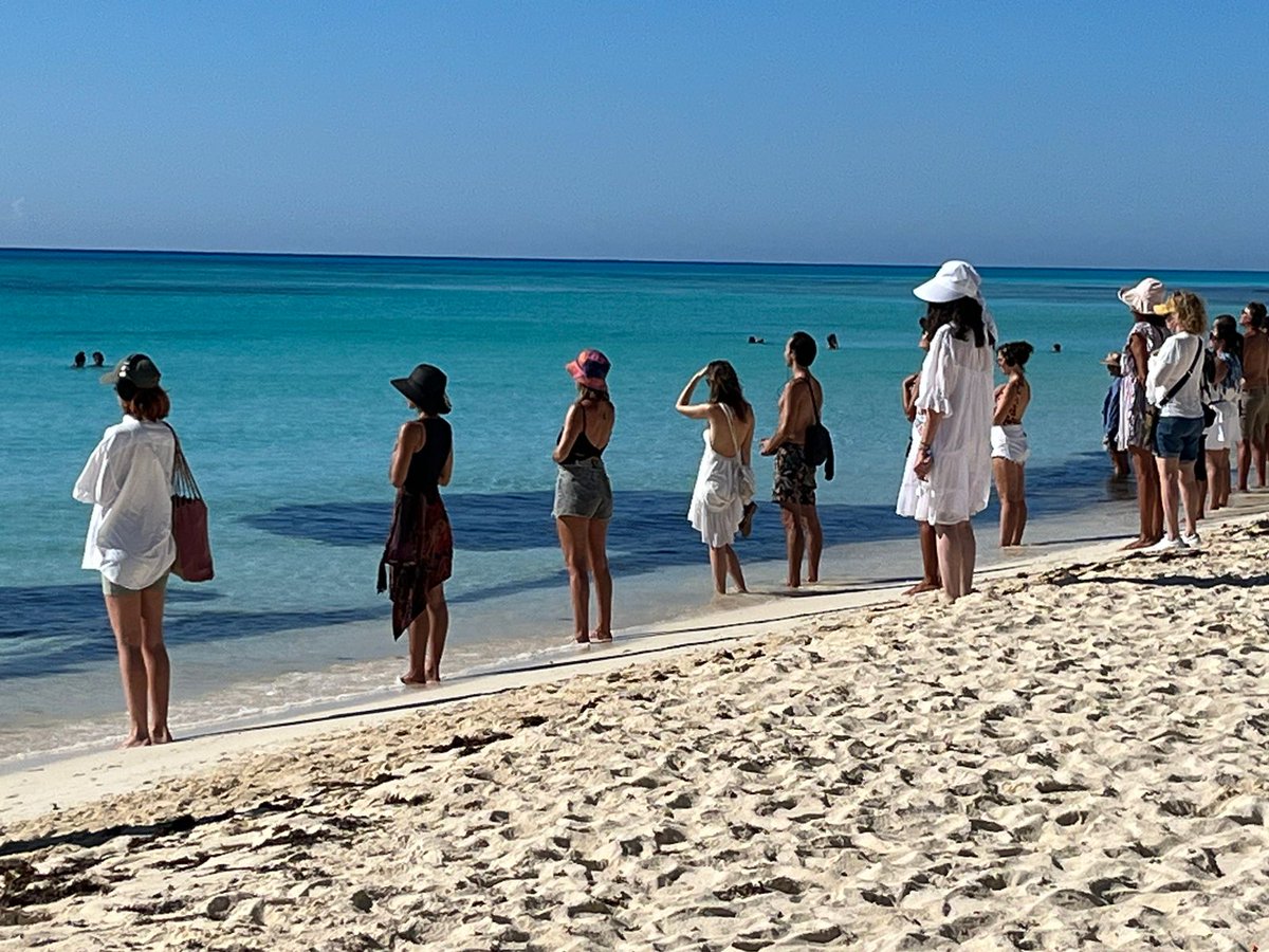LoveBlock_nft's tweet photo. 23.09.2023, We changed the world with a   #walkfortheworld  #mexico #playadelcarmen with #drjoedispenza @DrJoeDispenza https://t.co/fQIpT5ZOXm