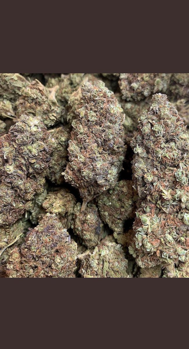 kelsey0780's tweet photo. Active and taking new orders📦✅
Super dope lemon cherry popperz🔥
You get a free zip if you’re shopping with us for the first time 
#420friendly #420Life #WeedLovers #cannabisNews #weed #canabislife #CannabisCommunity #cannabisevent #USA #420girls #marijuana #TwitterFlies2 https://t.co/ZHy651BU1r