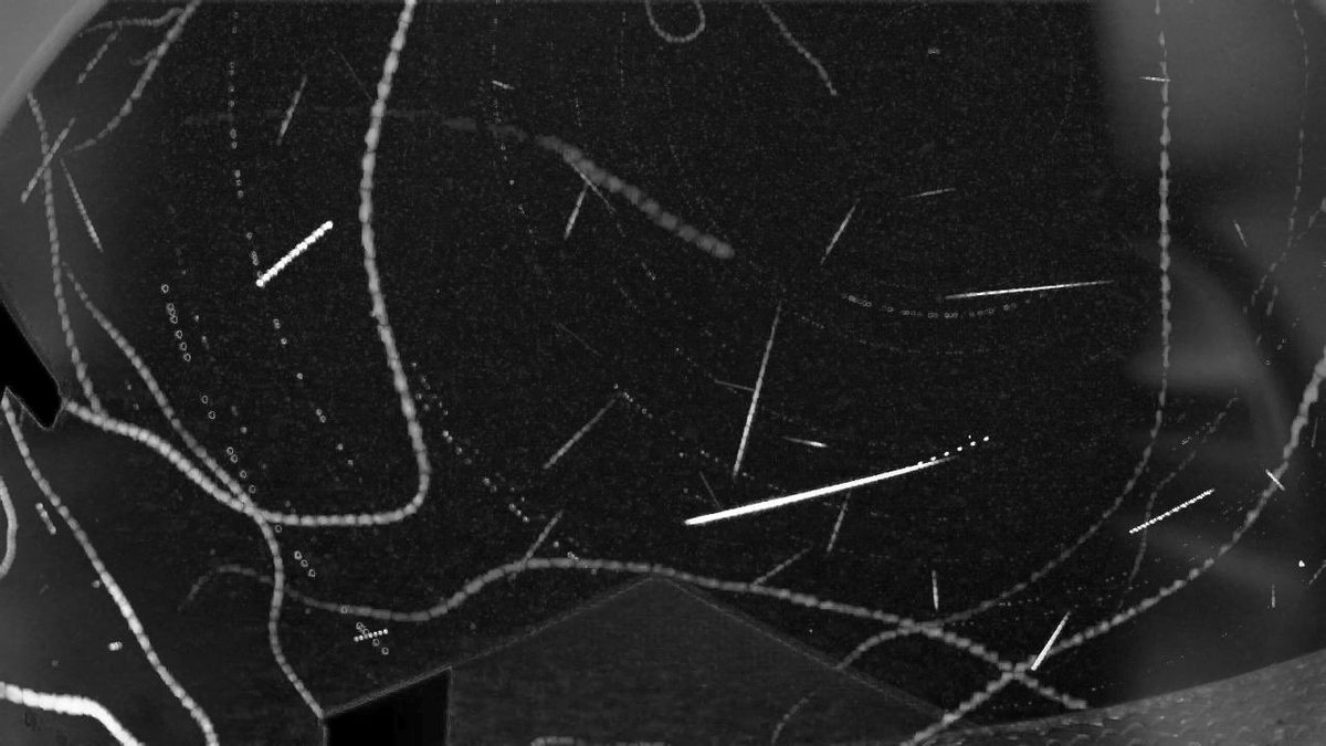 Robin Rowe tweet media