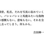 Photo by 雑誌 WEBマガジン「イリュミナシオン/FEU」公式 (@illuminations7_)