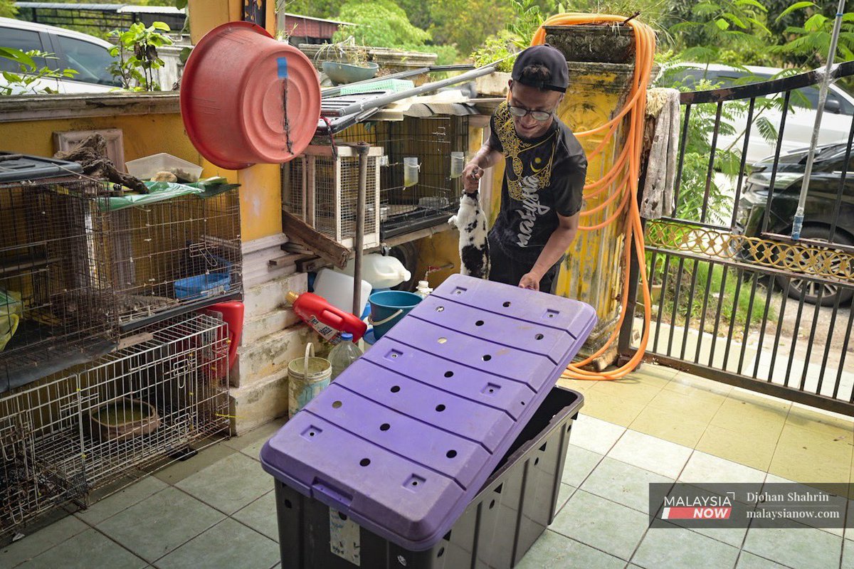 MNowNews's tweet photo. Pengembaraan rumah reptilia Jebat
#MalaysiaNow #MNow #MNowNews #Malaysia #Jebat #ular #reptilia #WaliyuddinJali
https://t.co/RMLpCq0SR9 https://t.co/639bu2uSJM