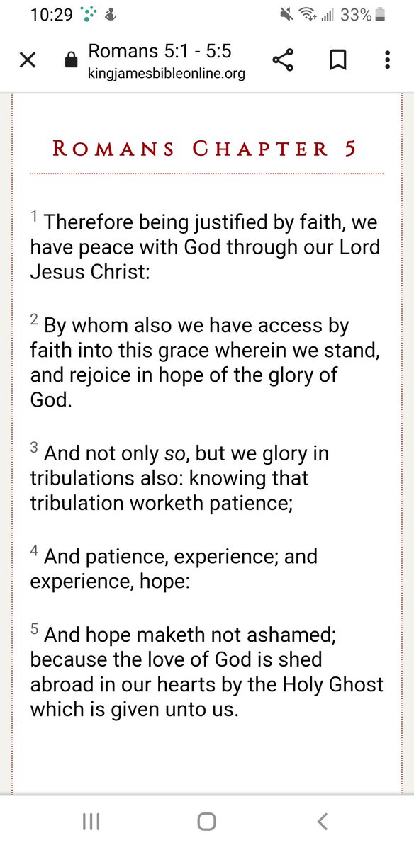 Rebecca Timberlake tweet media