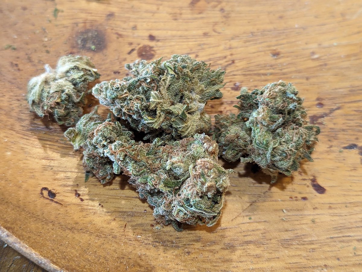Rotten Fruit Romulan from <a href="/TempleGrower/">TempleGrower</a> is very fruit forward.  It doesn't have the Rom pine, but is punchier than many fruity types.  I really enjoyed it!
Bystanders at the bar I smoked it commented on how sweet it smelled.
Thanks again!