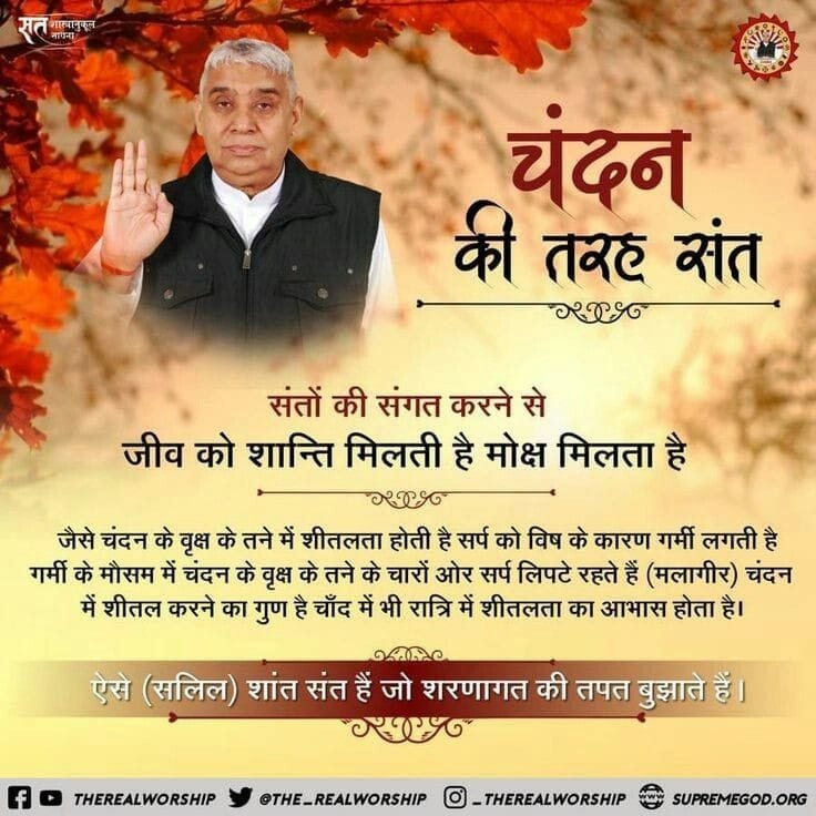 #GodMorningSunday 
#SundayThoughts ⤵️
)))➡️चंदन की तरह संत⬅️(((
#SundayMotivation #SUNDAYSPECIALSATSANG #SundayMorning @rashtrapatibhvn @PMOIndia @timesofindia @HMOIndia @CMOGuj 
Watch Sadhana Channel at 07:30 pm
@SaintRampalJiM @satkabir_ @SatlokAshram @SatlokChannel @Jaanu_Dasi