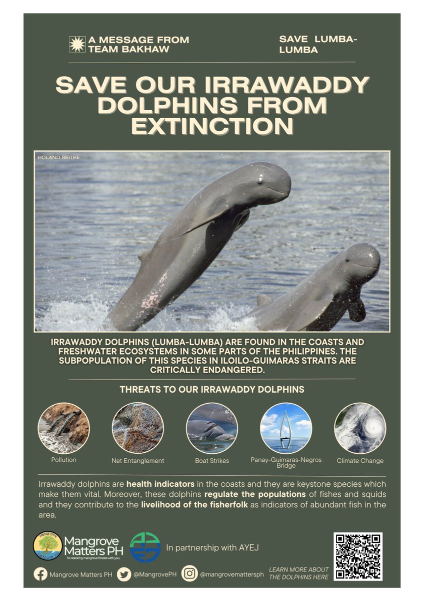 WE ARE IN ILOILO CITY!

Team Bakhaw of Mangrove Matters PH is currently distributing flyers and posters calling for the protection and awareness of the Critically Endangered Irrawaddy Dolphins in Iloilo-Guimaras Straits.