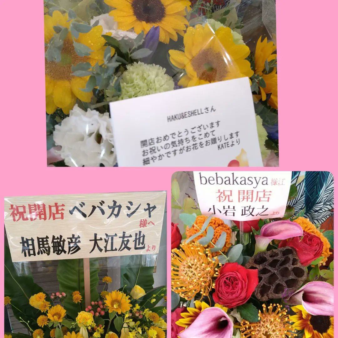 Bebakasya8u9's tweet photo. 皆に愛されてるなぁー❣️

店頭&amp;店内がお祝いのお花&amp;観葉植物で
埋め尽くされてます😁

本当に感謝でございます♪

#ベバカシャ #bebakasya #グランドオープン #浅草 #かっぱ橋 #お祝い #お花 #観葉植物 #がじゅまる #第三基地 #門司港 #ESHELL #HAKU https://t.co/PeRYYVaUQd