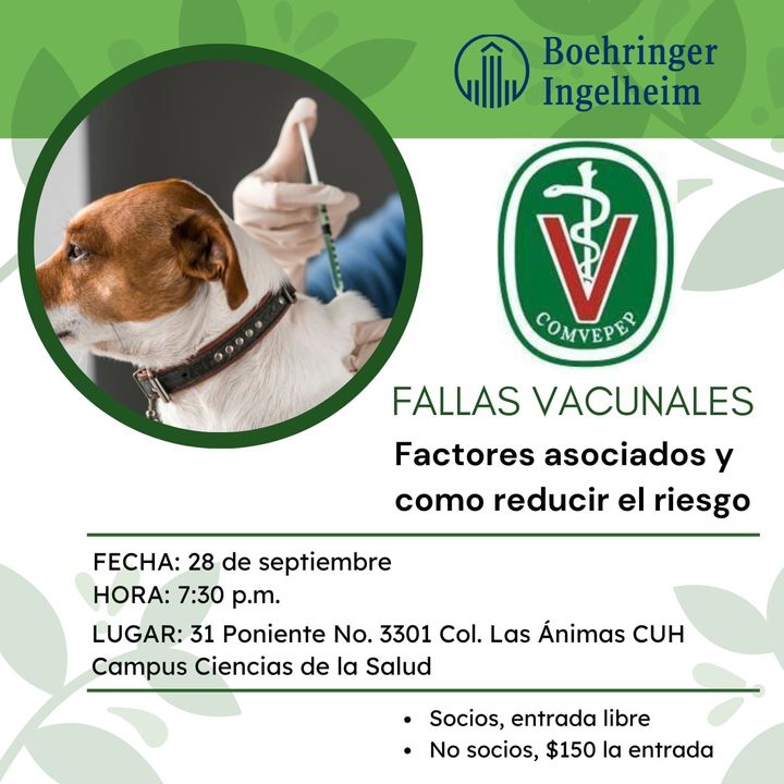 SQUENDA's tweet photo. 📍Fallas Vacunales: factores asociados y como reducir el riesgo
📅28 de septiembre 2023 |⏰ 7:30 pm
😉Organiza: #COMVEPEP
📍CUH Campus Ciencias de la Salud, Col. las Animas Puebla, México
📲Informes e inscripciones: +52 2221237655
#Presencial #AlianzaSquenda https://t.co/grtOQiddor