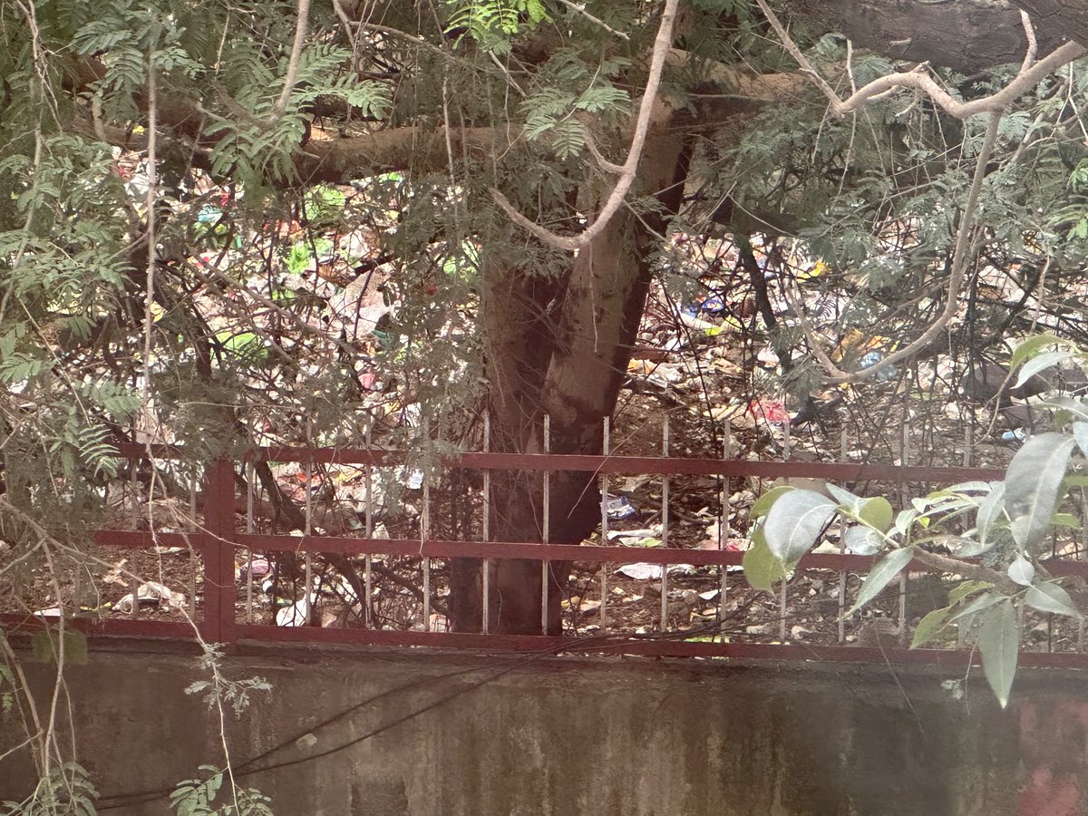 WTH_United's tweet photo. 🚨URGENT: Post Office Land in U block DLF Phase 3 is a health hazard! 🏢 It's time to take action and find a permanent solution. 🙏
To: @pmggurgaon   
cc: @MunCorpGurugram @DlfProperties 
@DLF_Foundation https://t.co/DzE2jrwCtL