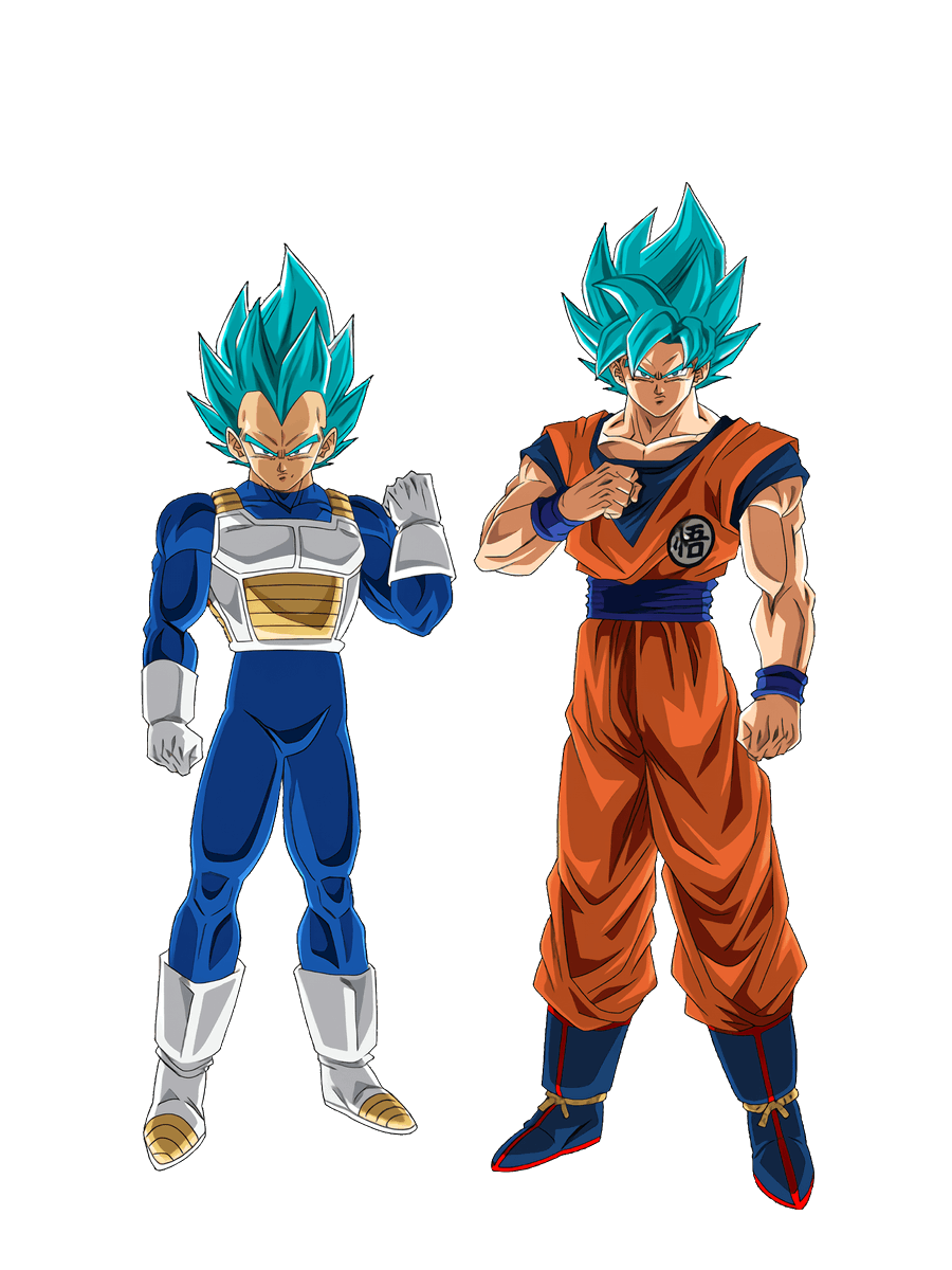 超サイヤ人ゴッドSS孫悟空＆超サイヤ人ゴッドSSベジータ