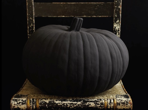 Black pumpkins, also called Black Kat or Black Knight, can be grown with plenty of sunlight and water.

 #FolkloreSunday #AutumnEquinox #GothicAutumn