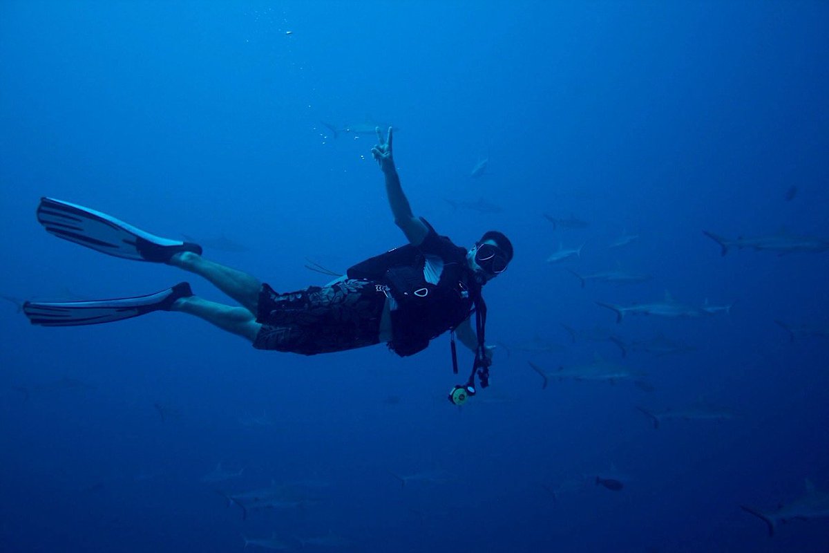 OlivierB_spc's tweet photo. En 2006 la #Polynésie adoptait un moratoire pour interdire la pêche aux requins dans ses eaux.
Aujd'hui les concentrations sur certains atolls sont exceptionnelles et font références.
Ici le mur de requins gris de la passe #Tiputa à #Rangiroa entre 2010 (avec ma pomme) et 2023 https://t.co/7XSsh6yG6y