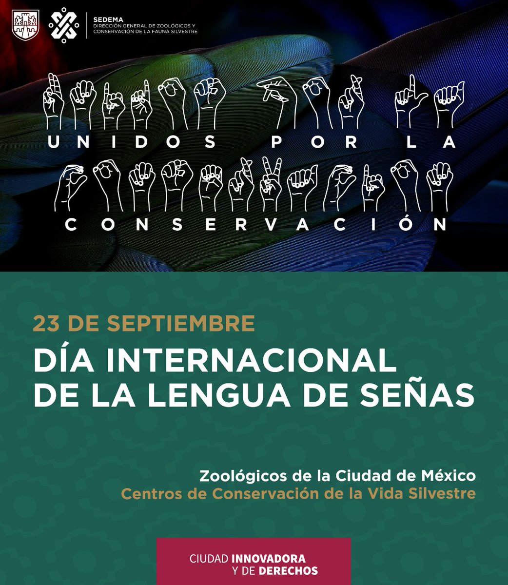 ZoologicosCDMX's tweet photo. #UnDíaComoHoy es el Día Internacional de las Lenguas de Señas. #ZoológicosCDMX https://t.co/zpZMDIuyhc