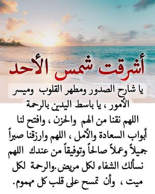 #loyal #AMY🅰️
<a href="/Alaayous3/">alaa amy</a>
<a href="/maha8321553/">🌸maha🌸</a>
<a href="/Gigi46830095/">ا. i1iitالخاص ممنوعGiGi</a>
<a href="/mahamairb/">مها المأربية</a>
@foz3x3
<a href="/RGirlfor/">Rahf ❤🥰</a>
<a href="/aylin_cee/">@ylin</a>
<a href="/ZYNH511/">الزين ♡💗</a>
<a href="/linaassil_assil/">Linaa Alassill2</a>
@ghyth54844409
<a href="/lsra70666289/">ابـــABRARـرار 𓅄</a>
<a href="/rayoscometas/">♥️Amunet♥️</a>
<a href="/MarisaSukamto/">Marisa Sukamto 🟢</a>
<a href="/Cynthiacooper37/">123_4Access</a>
@saman_talatom
<a href="/wafaasalimshada/">وفاء سالم</a>
<a href="/amr_snds5281/">لؤلؤ</a>
<a href="/Minerva44827476/">MINERVA</a>
<a href="/mI4H9fCSqxcPYw8/">منيره العتيبي 🌹🇸🇦🌹</a>